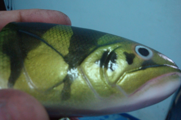 ลองทำเหยื่อ Big Bait ครับผม