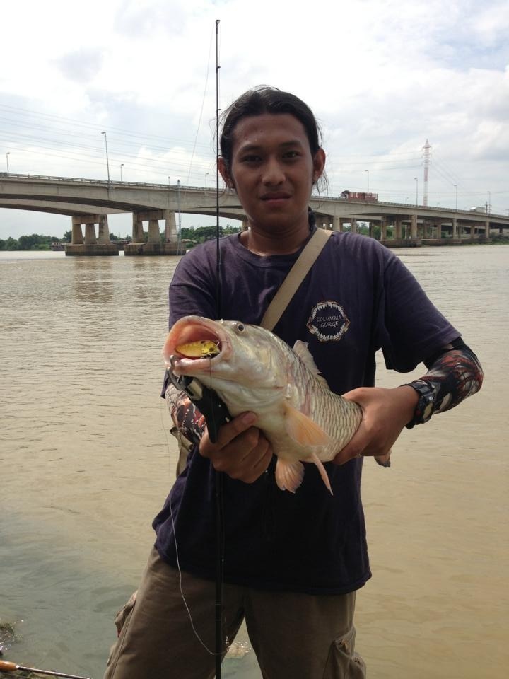 ผมแห้วน้องผมรอดกระสูบยักกับกรายเจ้าพระยา