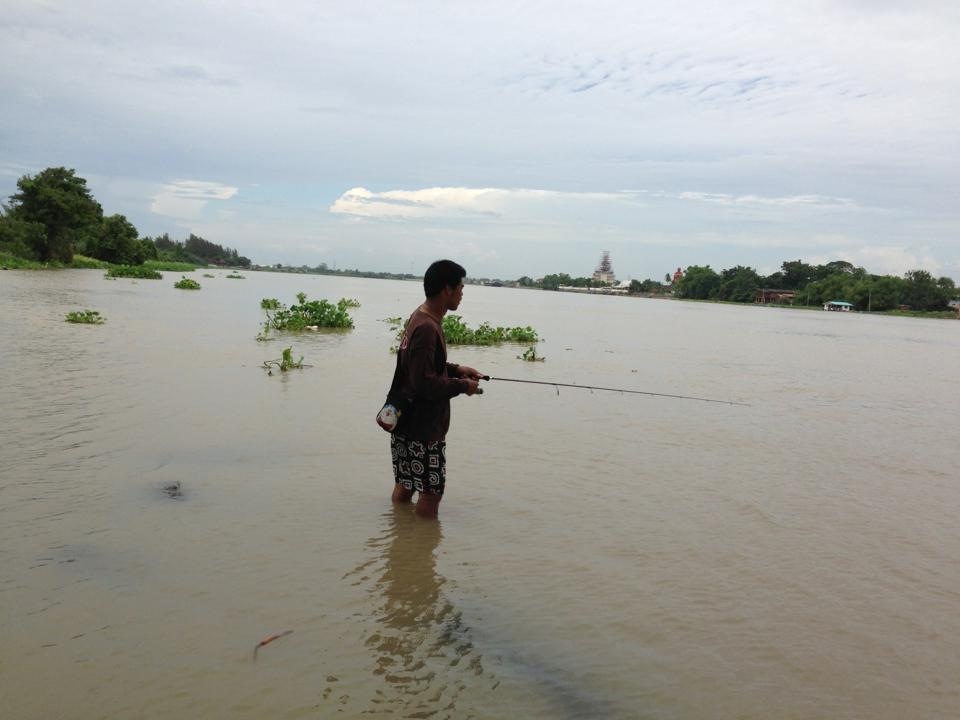 ผมแห้วน้องผมรอดกระสูบยักกับกรายเจ้าพระยา