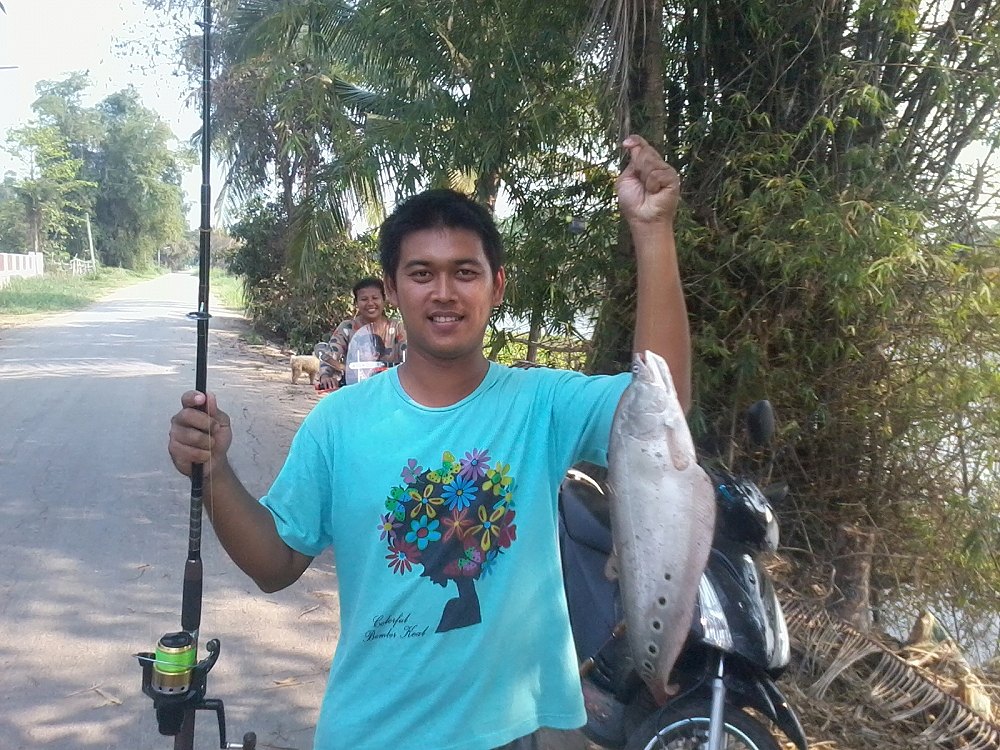 ปลากรายตัวน้อย ชัยนาท