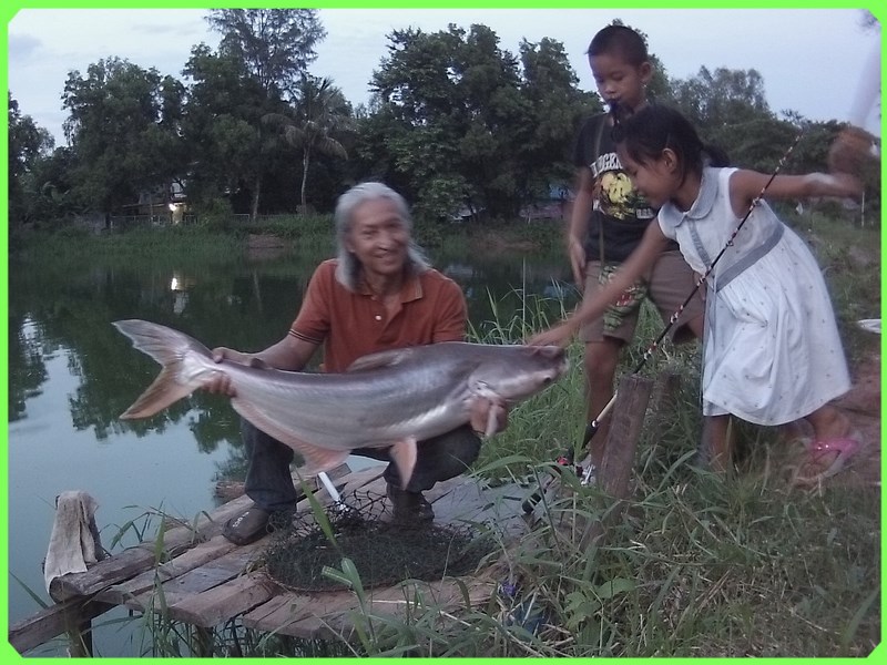 ตกปลาบึกที่ บ่อสมาน อุดรธานี