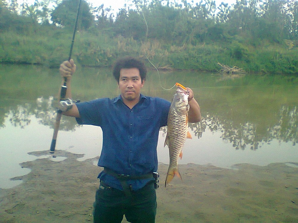 กระสูบ และ ปลา..ลุ่มน้ำยม