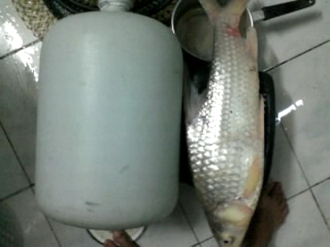 ภาพเก่ามาเล่าใหม่หลากหลายความเป็นมา