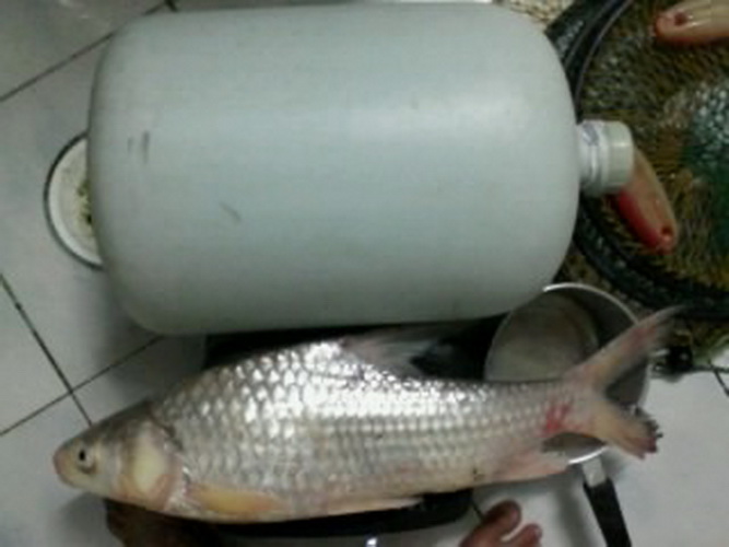 ภาพเก่ามาเล่าใหม่หลากหลายความเป็นมา