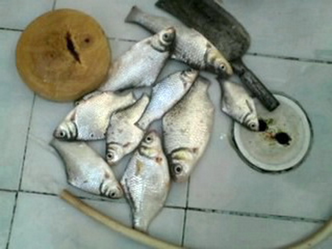 ภาพเก่ามาเล่าใหม่หลากหลายความเป็นมา
