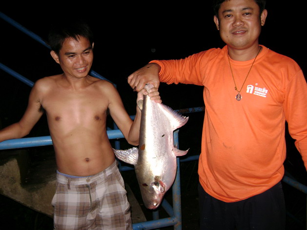 ภาพเก่ามาเล่าใหม่หลากหลายความเป็นมา
