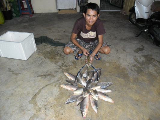 ภาพเก่ามาเล่าใหม่หลากหลายความเป็นมา