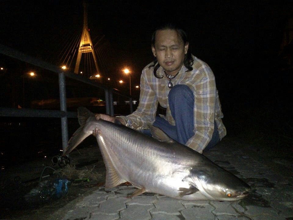 ปลาแม่น้ำพระประแดง