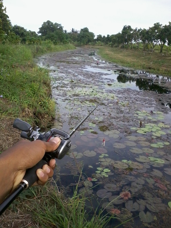 เรื่องช่อนๆ