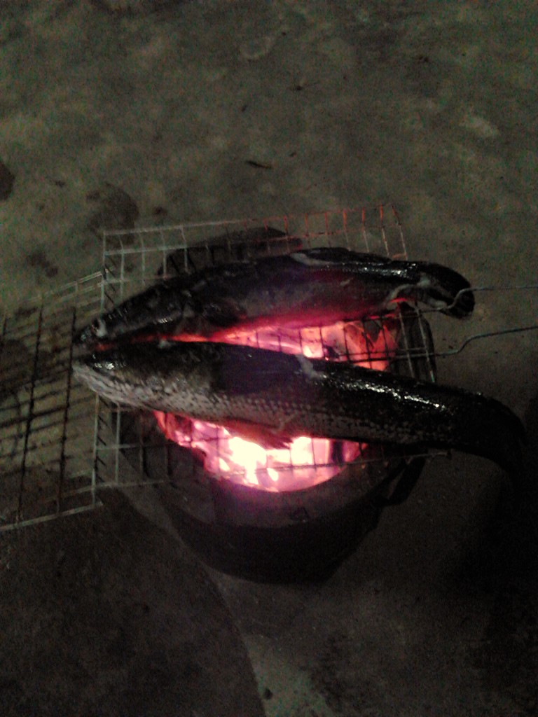 ดำตื้นจัดให้