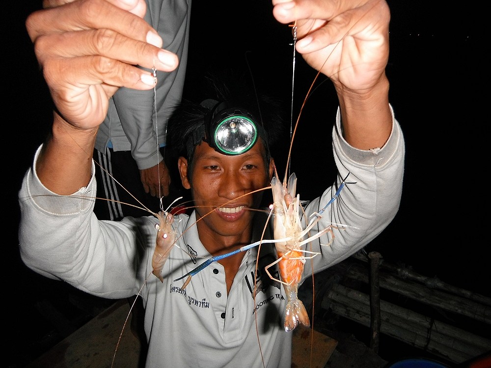 กุ้งมาบประชันครับ