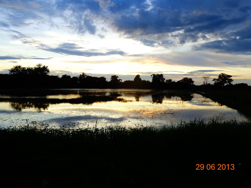 ตามล่า  หา...ชะโด + ช่อนมันส์ๆ + บรรยากาศสวยๆครับ    ^o^
