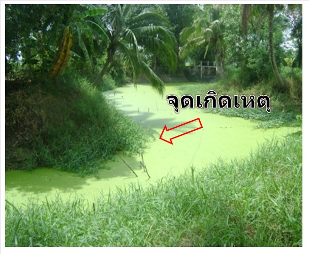 ซ้ำหมายเดิม ช่อนโคราช