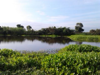 เช้านี้ที่หมายเดิม