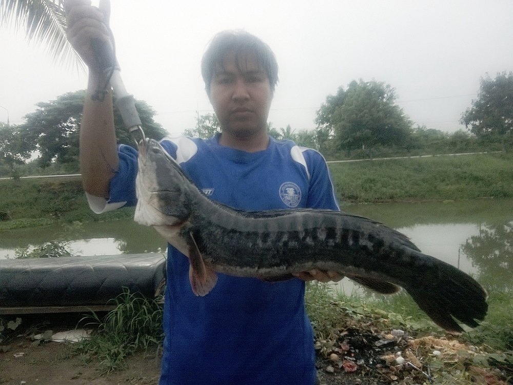 จัดหนักๆ