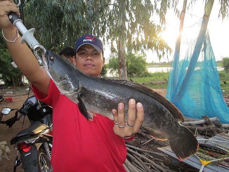 ทริปพิเศษ Tiger Fishing Team