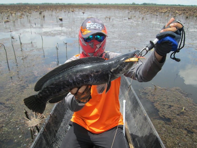 ทริปพิเศษ Tiger Fishing Team