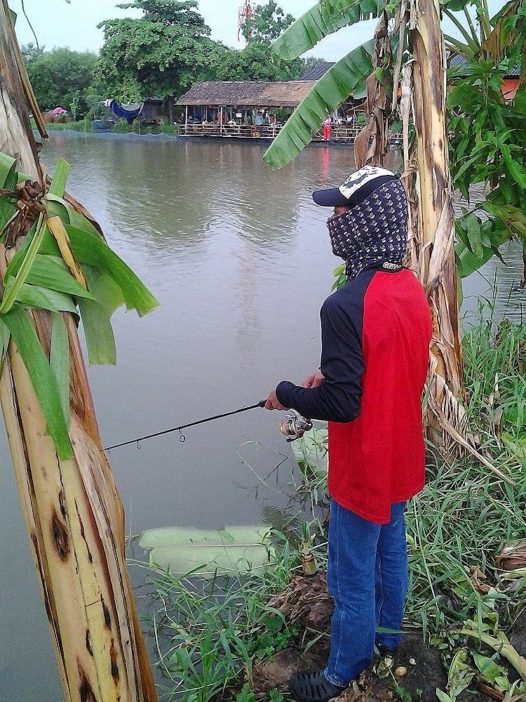 ไปเล่นกับกะพงมา