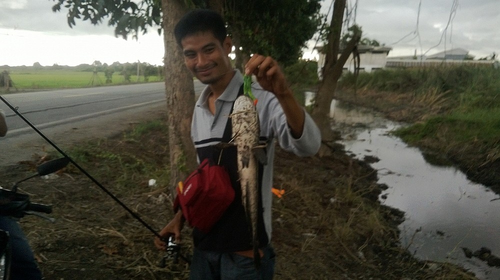 บางปลาม้านะจ๊ะ