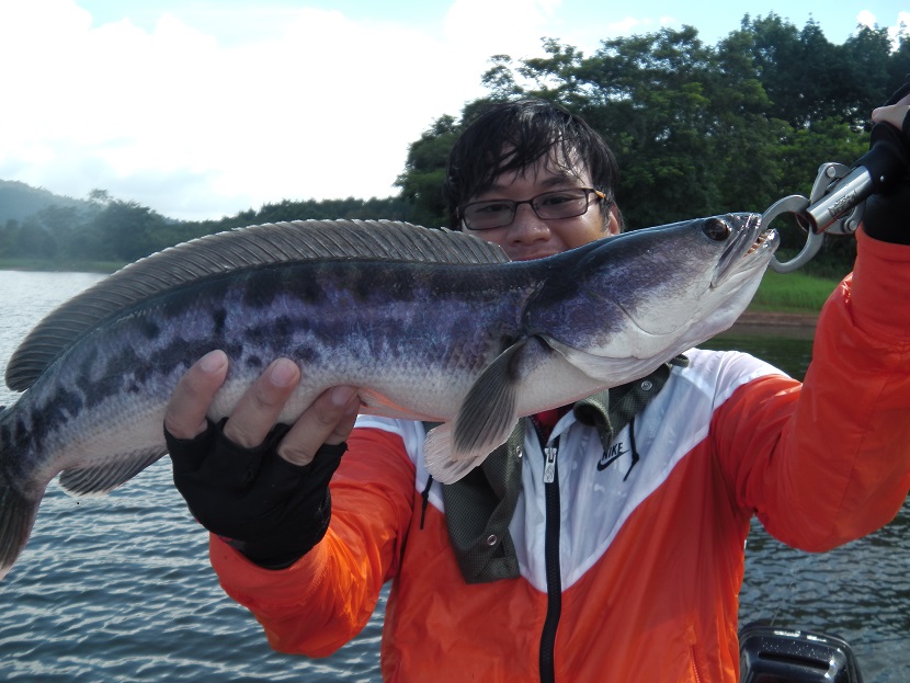 เรือยางกับชะโดมันของคู่กัน