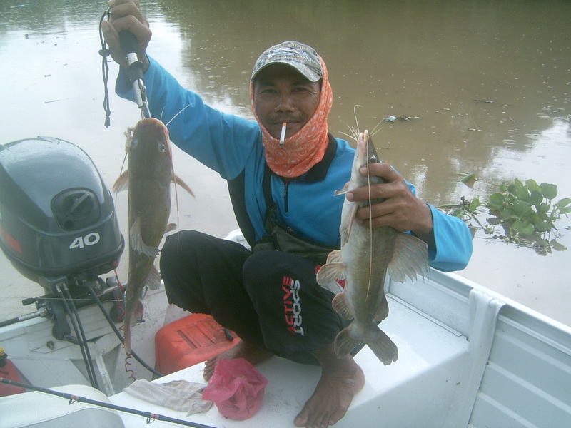 ปลากดแม่น้ำน้อย