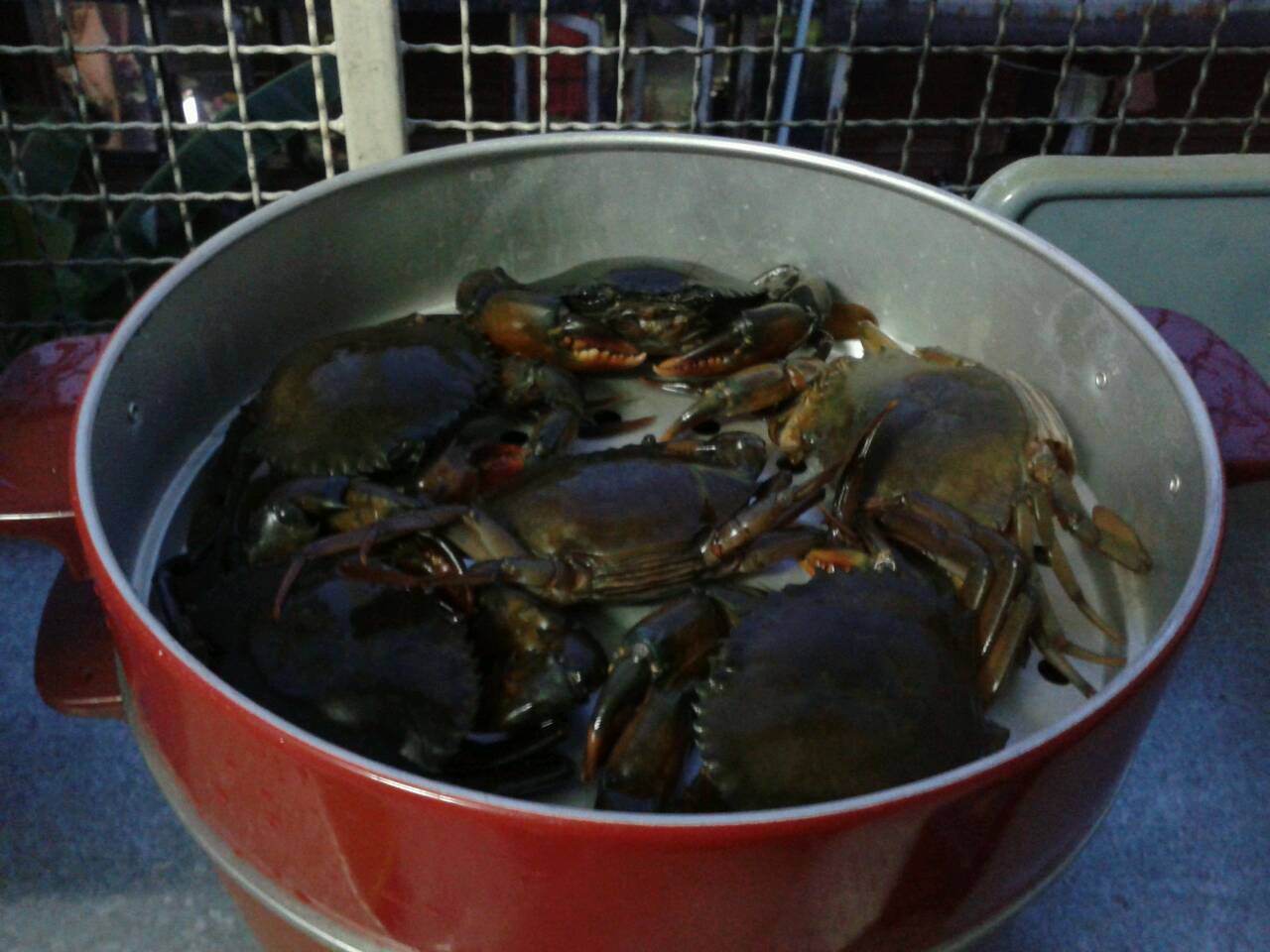 จัดหนัก ปู กุ้ง หมึก มั่วๆ กันไป By Monza