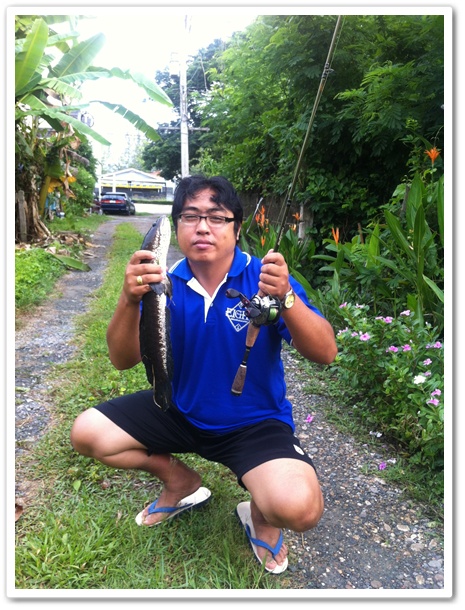เช้าๆก็ไปตกปลากัน