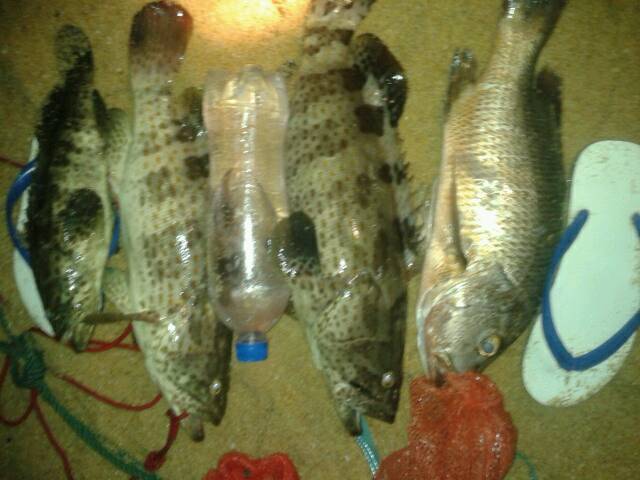   รวมภาพของอาทิตย์นี้