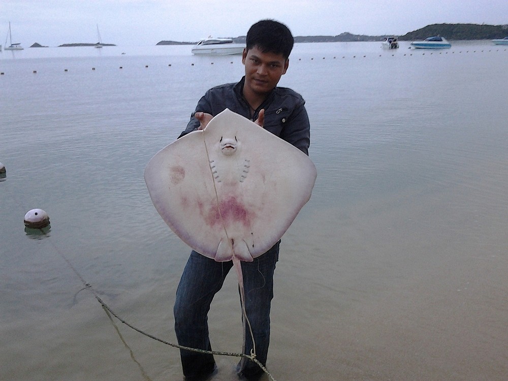   รวมภาพของอาทิตย์นี้