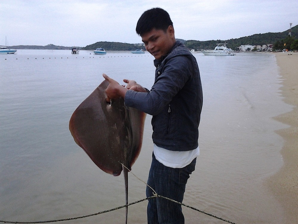   รวมภาพของอาทิตย์นี้