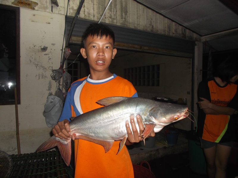 หมายหน้าดิน ซอยประตูน้ำเชียงราก