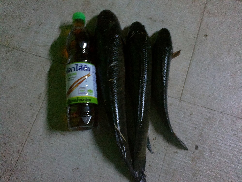 สมาชิกใหม่..ฝากเนื้อฝากตัวด้วยครับ