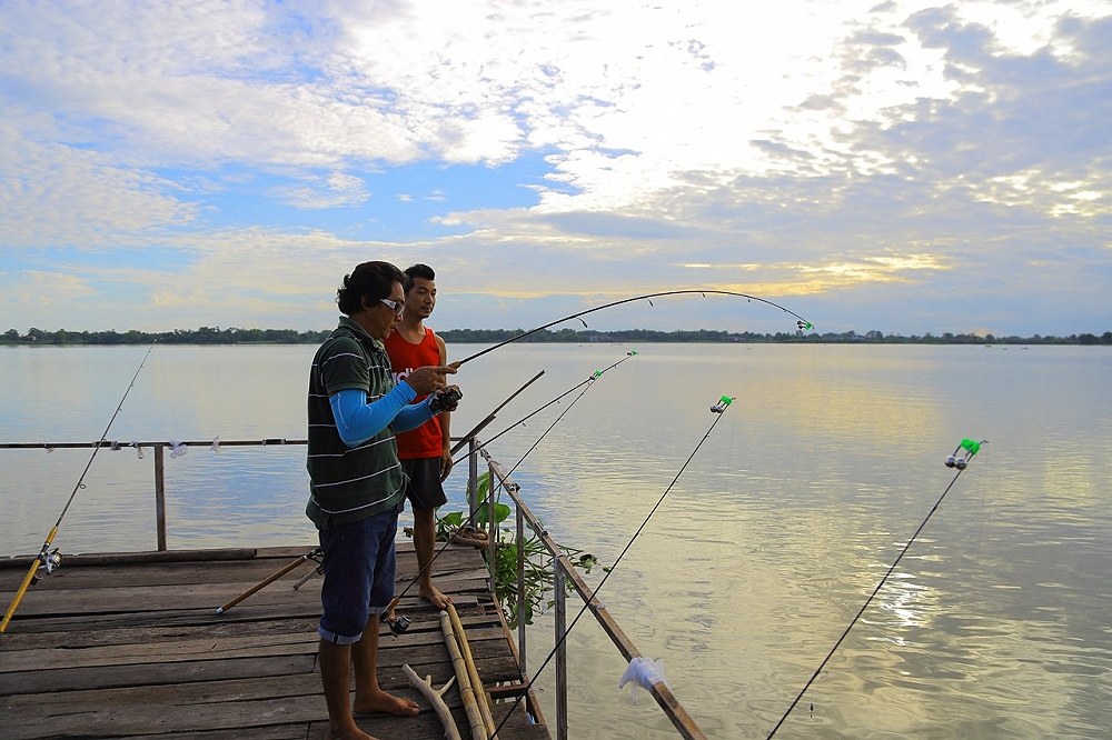กุ้ง บางไทร