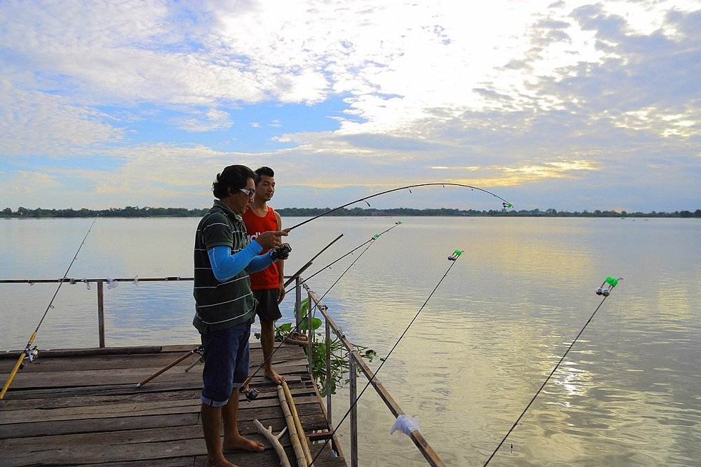 กุ้ง บางไทร