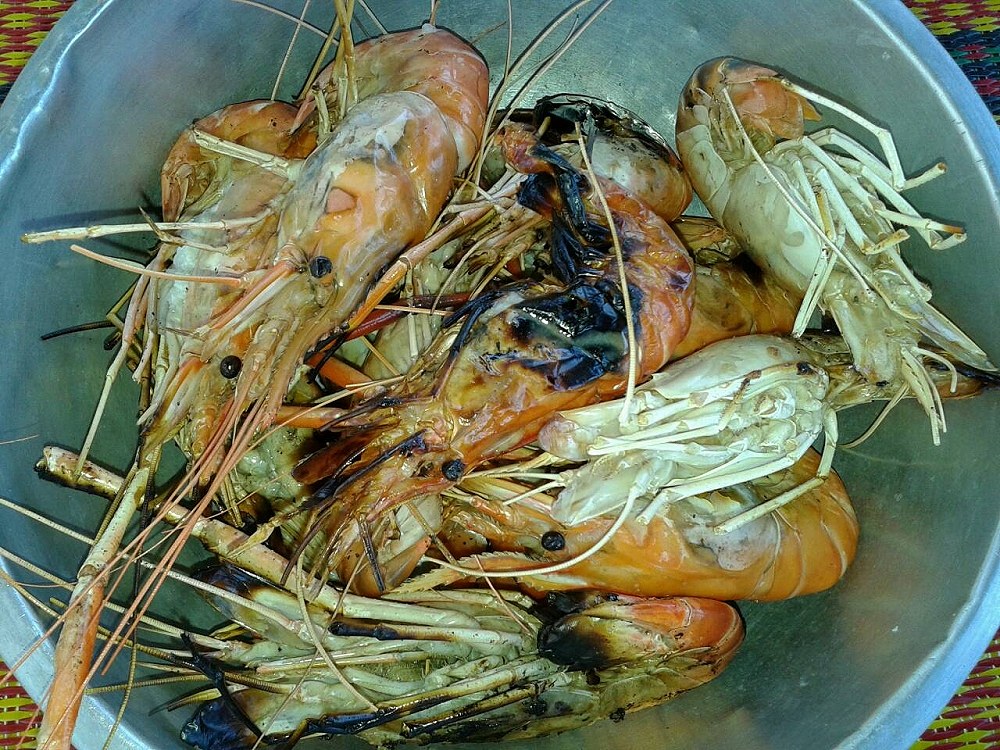 กุ้งบ้าง ปลาบ้าง อะไรบ้าง By Monza