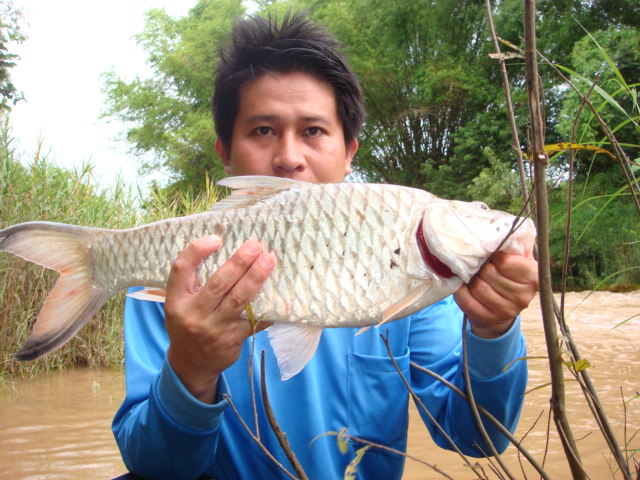 มันส์คนเดียว  กระสูบโทนใหญ่อีกแล้ว 