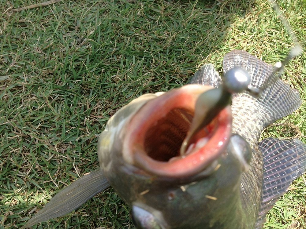 วันเบาๆ เราสามคน ploplay fishing team