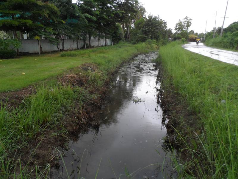 ไอ้ช่อน...วันฝนพรำ