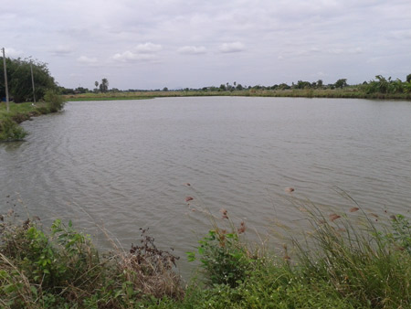 ทริปปลาช่อนน้าต่อหัวไผ่