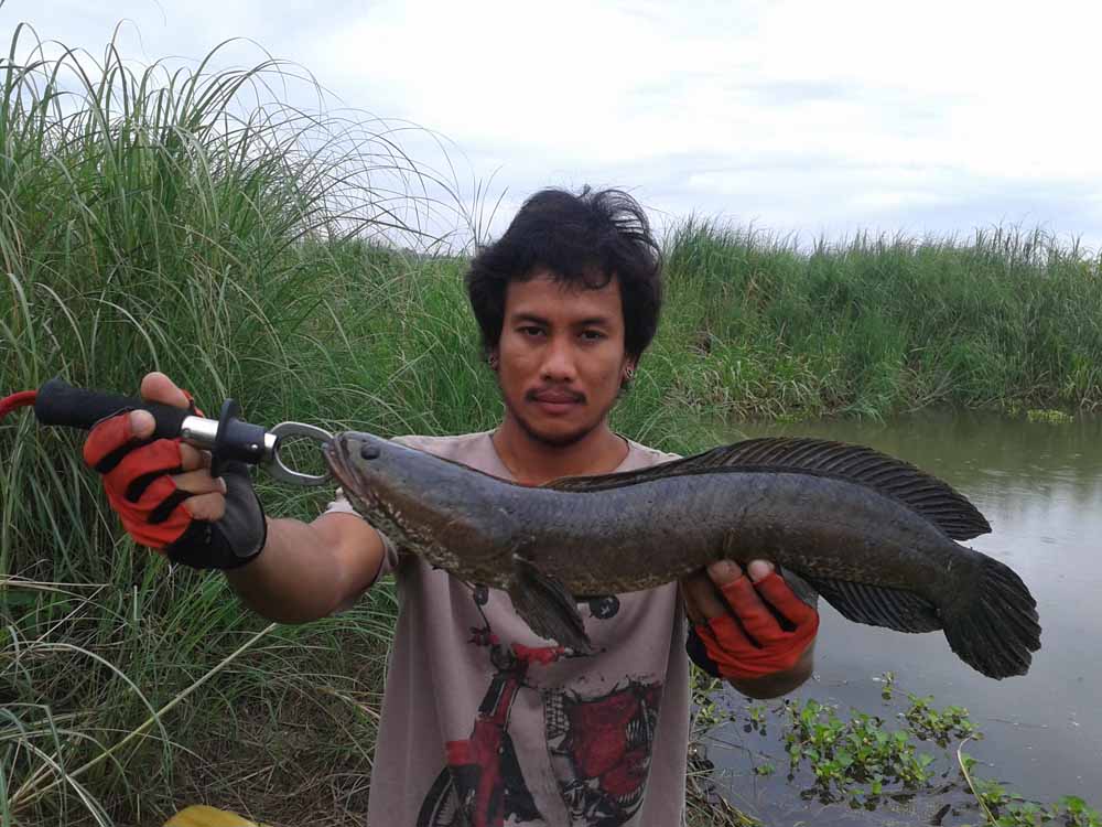 ***เหยื่อตัวเดียวแต่ได้ปลา2ตัว***
