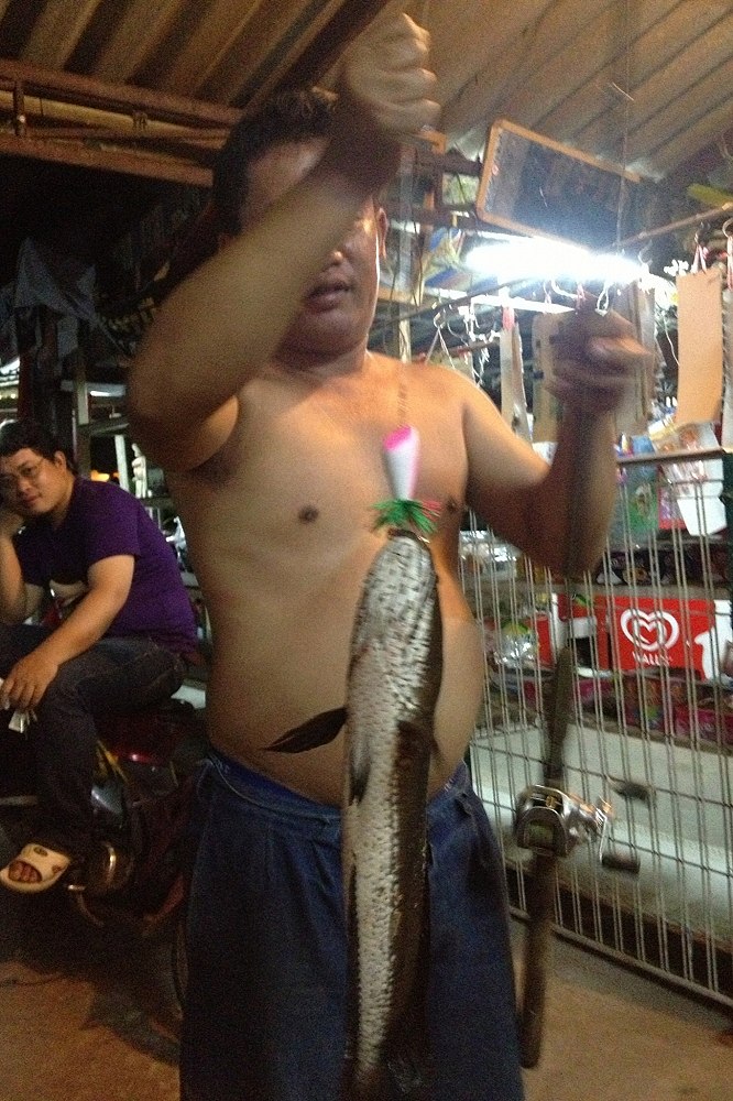 กบพี่เขียวคลองเปรม