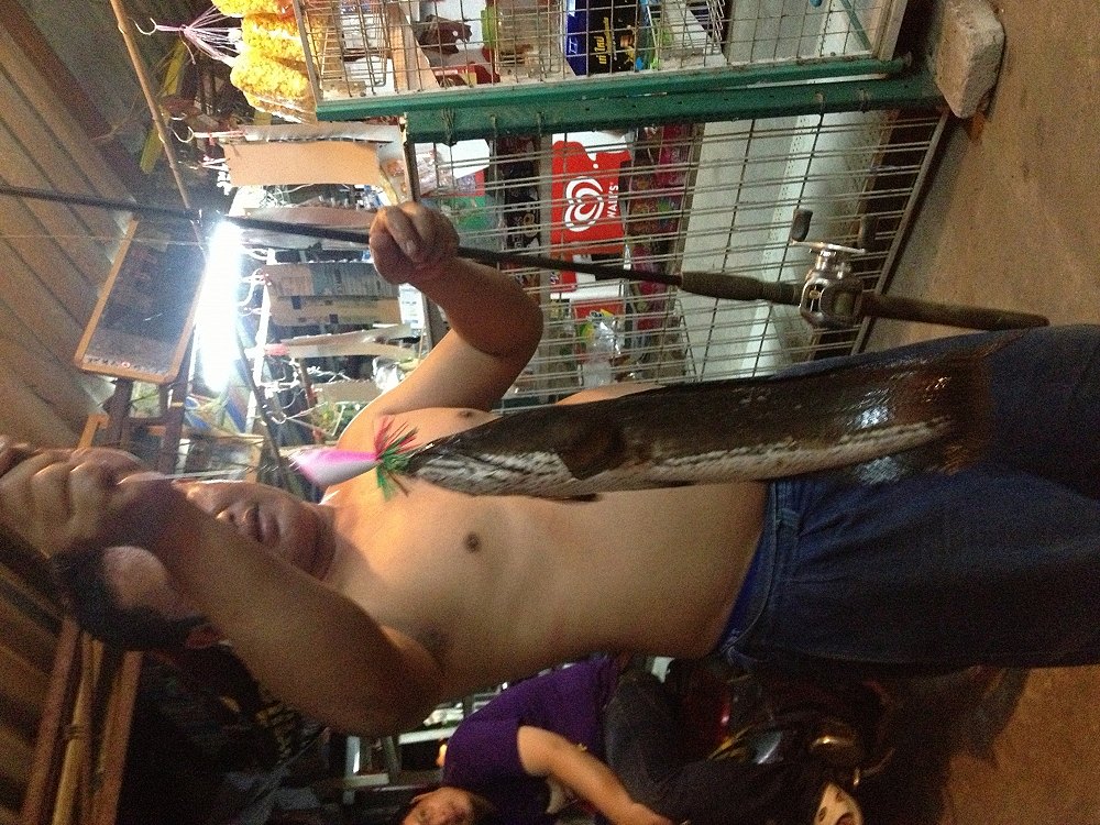 กบพี่เขียวคลองเปรม