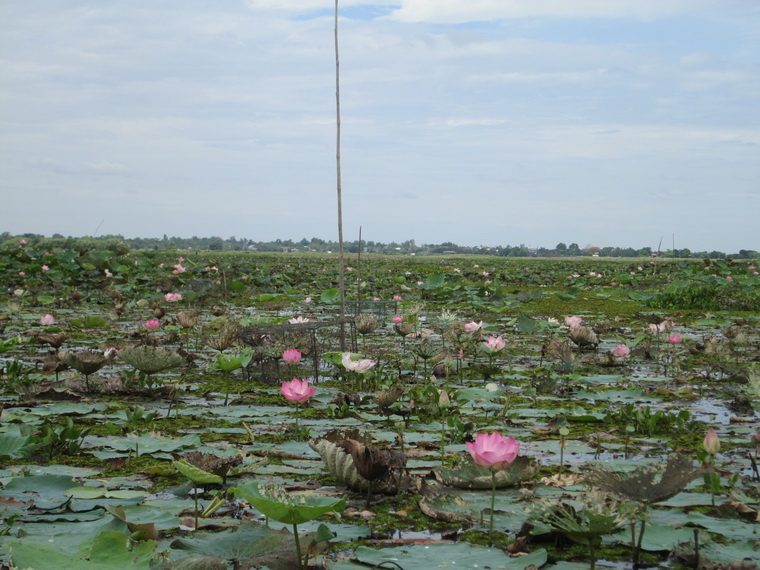 โดนซะที....