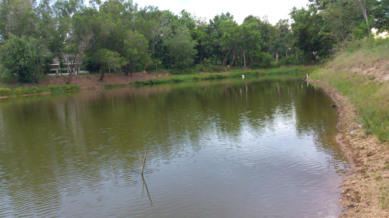 ช่อนหลังบ้านพัก...หลังเลิกงาน