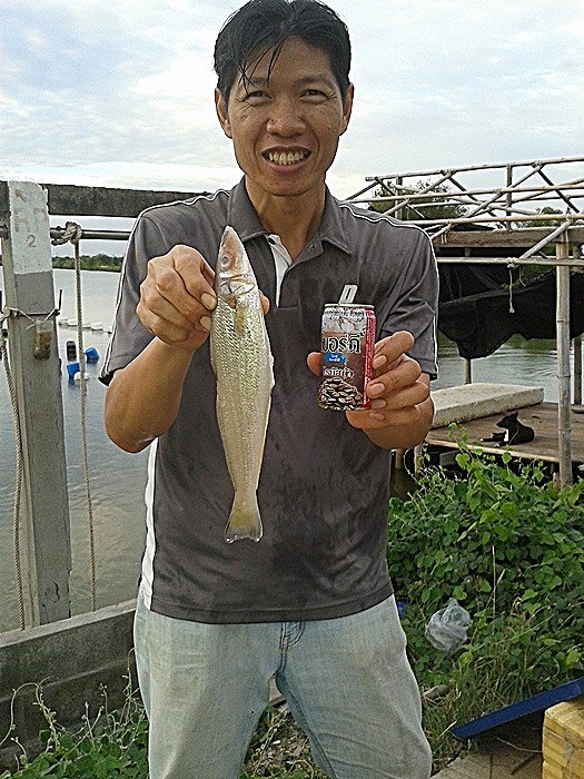 ตามหาเบอร์ดี้