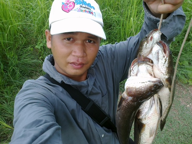 วันนี้อากาศดี