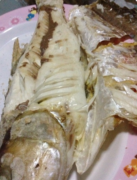 ไม่ได้อัพรูปซะนาน เอากระสูบมาให้ชมกันครับบบ