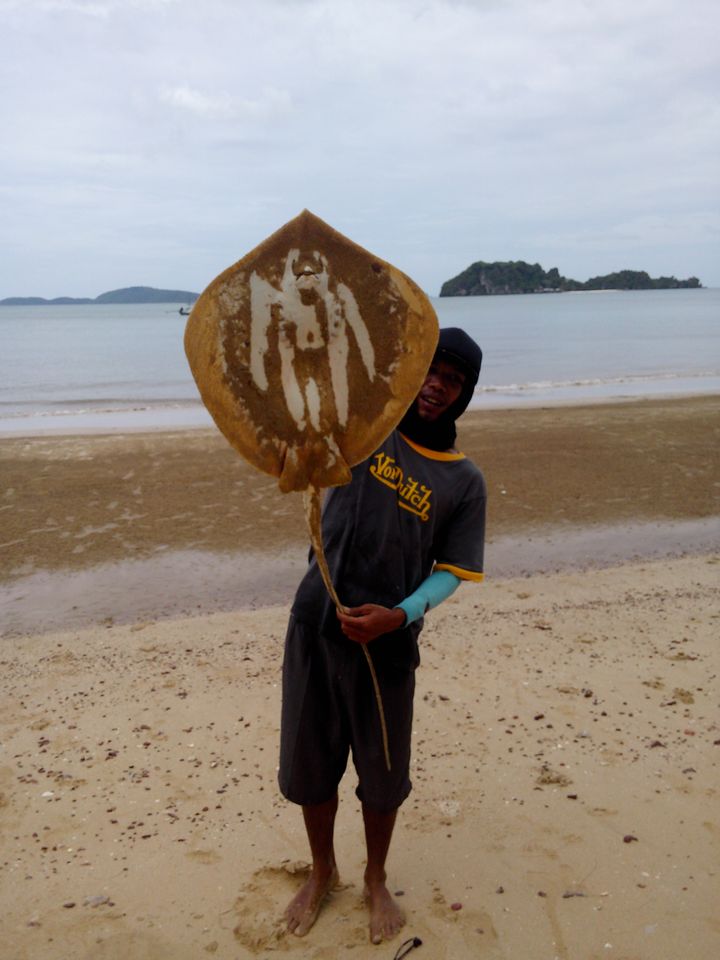 ปลารวมครับ