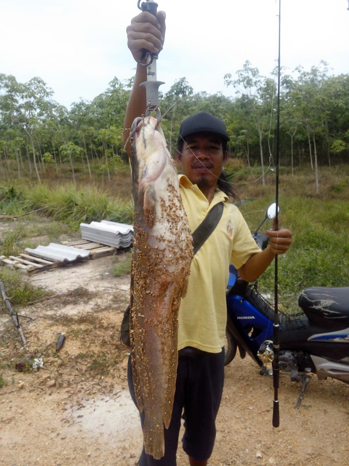 ปลารวมครับ