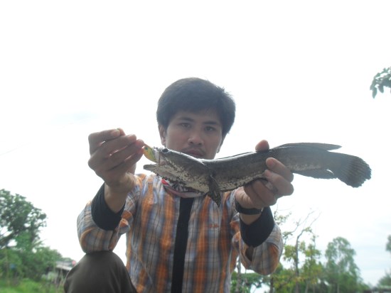 สนุกกับคลองน้ำใส